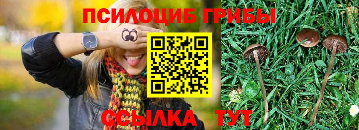 Псилоцибиновые грибы MAGIC MUSHROOMS Коркино